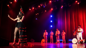 Concierto Mariachis 1
